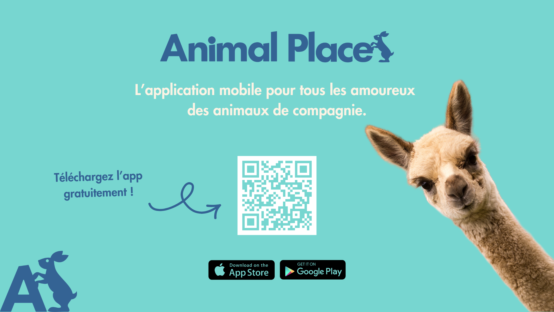 Publicité